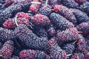 fresh mulberry closeup background photo