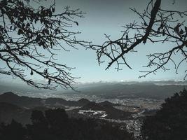 árbol verde con hojas en el tiempo de la tarde en Japón foto