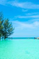 beautiful swimming pool with coconut palm tree and sea background photo