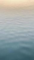 Aerial view of a flock of birds flying over an Alaskan town video