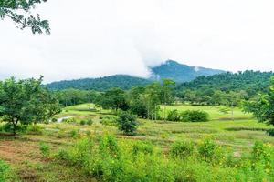 Green with Sand bunkers on Golf course photo