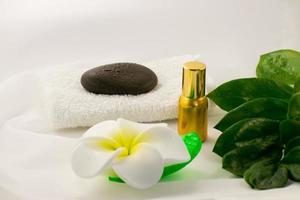 Spa still life on white background, relaxation and spa concept. Green leaves and black wet stones. photo