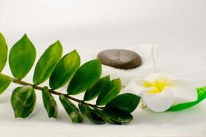 Spa still life on white background, relaxation and spa concept. Green leaves and black wet stones. photo