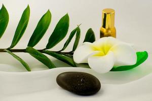 Spa still life on white background, relaxation and spa concept. Green leaves and black wet stones. photo