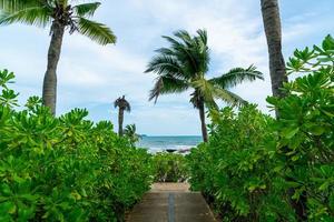 walk way with coconut palm tree and sea background photo