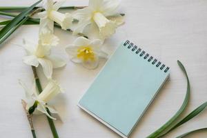 Notepad, daffodils on a white background. Inspirational workplace. photo