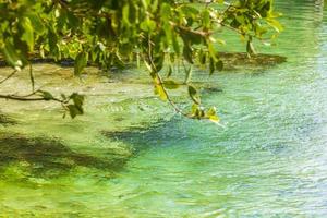 Small beautiful Cenote cave with river turquoise blue water Mexico. photo