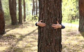 el hombre con las manos abraza el tronco de un árbol, la unidad con la naturaleza, la protección del medio ambiente. mano toque el tronco del árbol. ecología un concepto de naturaleza forestal de energía. la mano de un hombre toca un pino foto