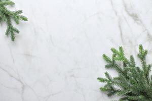 Christmas background with branches of a Christmas tree in the form of a frame. Flat lay, top view photo