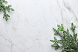 Christmas background with branches of a Christmas tree in the form of a frame. Flat lay, top view photo