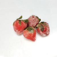 frozen strawberry isolated on white background photo