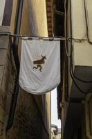 Medieval banners with shields photo