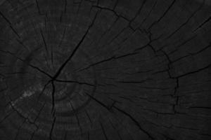 textura de fondo de madera negra. en blanco para el diseño foto