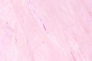 Pink marble texture background. surface blank for design photo