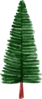 vinter- tall träd vattenfärg png