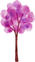 acquerello albero illustrazione png