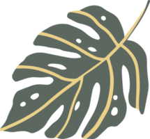 summer tropical leaf png