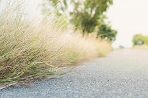 Meadow flowers, beautiful fresh morning in soft warm light. Autumn landscape blurry natural background. photo