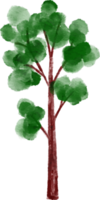 árbol elemento acuarela png