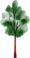 aquarela de elemento de árvore png