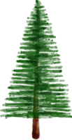 vinter- tall träd vattenfärg png