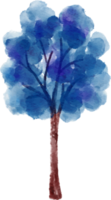 árbol acuarela ilustración png