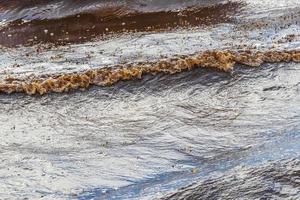 Agua de playa muy repugnante con algas rojas sargazo caribe mexico. foto