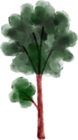 acquerello albero elemento png