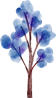 Tree element Watercolor png