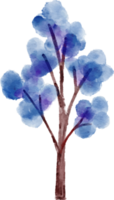 aquarelle élément arbre png