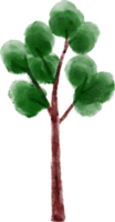 acquerello albero elemento png