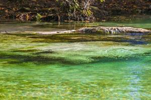 Small beautiful Cenote cave with river turquoise blue water Mexico. photo