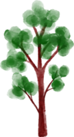 illustration aquarelle arbre png