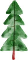 Christmas Watercolor Spruce Tree png