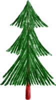 Hand Drawn Spruce Tree Watercolor png
