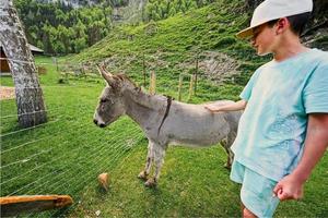 Boy with donkey at Untertauern wildpark, Austria. photo