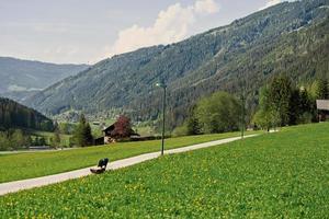 camino alpino y pradera en untertauern, austria. foto