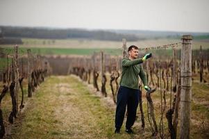 Portrait of man working on vineyard. photo