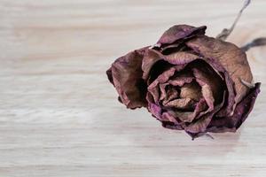 Dry roses on wooden photo