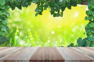 Wood table top with plant vine, leaves, green frame with green back backdrop warm golden light photo