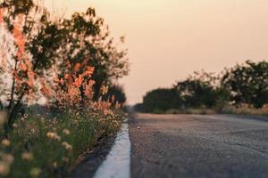 Meadow flowers, beautiful fresh morning in soft warm light. Vintage autumn landscape blurry natural background. photo