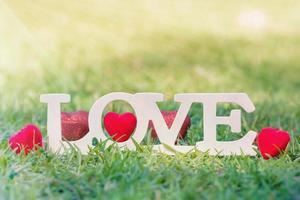 LOVE text, valentines day background romantic moment in nature photo