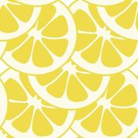 Seamless lemon slices pattern vector. Lemon slices on table handdrawn pattern. vector