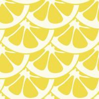 Seamless lemon slices pattern vector. Lemon slices on table handdrawn pattern. vector