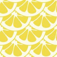 Seamless lemon slices pattern vector. Lemon slices on table handdrawn pattern. vector