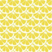 Seamless lemon slices pattern vector. Lemon slices on table handdrawn pattern. vector