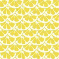 Seamless lemon slices pattern vector. Lemon slices on table handdrawn pattern. vector