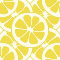 Seamless lemon slices pattern vector. Lemon slices on table handdrawn pattern. vector