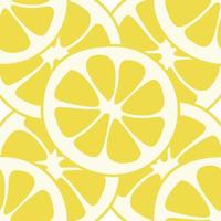 Seamless lemon slices pattern vector. Lemon slices on table handdrawn pattern. vector