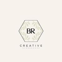 BR Initial Letter Flower Logo Template Vector premium vector art